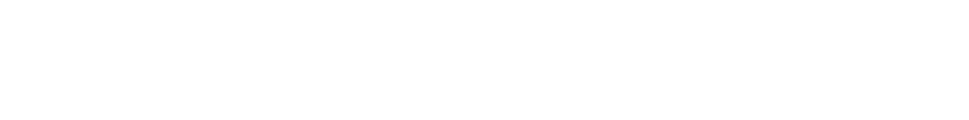 PortoniNews