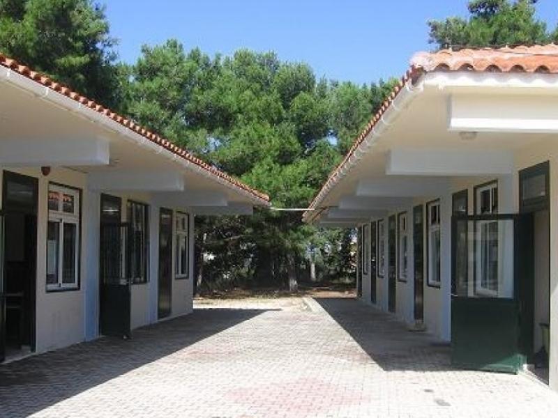 Θερμά συγχαρητήρια στους μαθητές και μαθήτριες που πέτυχαν στις Πανελλήνιες