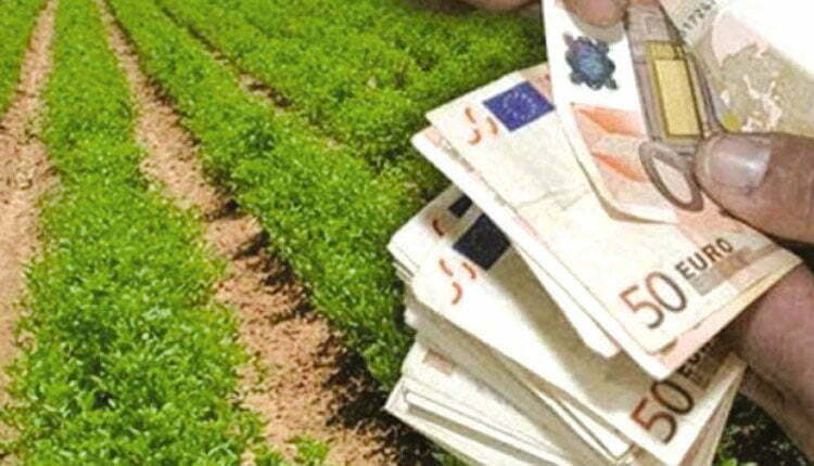 Στη δημοσιότητα τα ποσά αγροτικών επιδοτήσεων έτους 2025